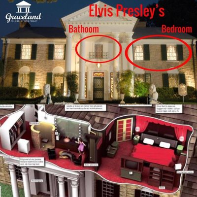 Elvis toilet death.jpg