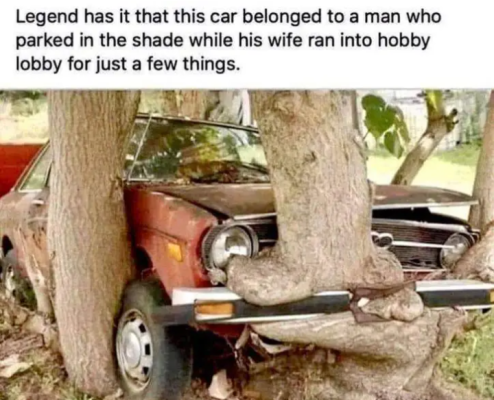 Screenshot_20240521-170203~2.png