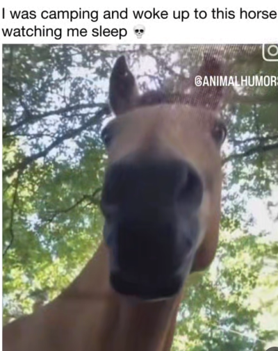 Screenshot_20240524-155021~2.png