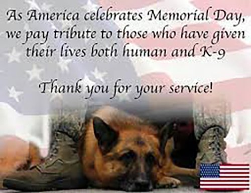 memorialdayk9-01.jpg