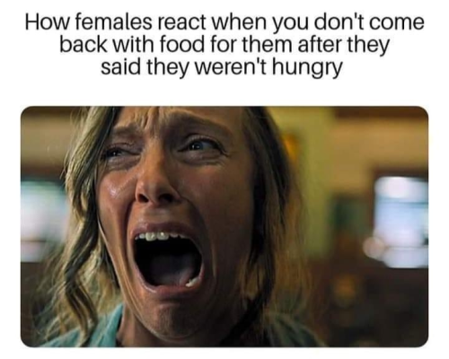 1716893549566.png