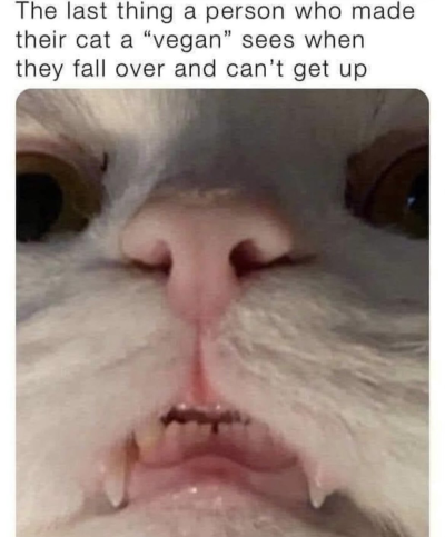 1717070190445.png