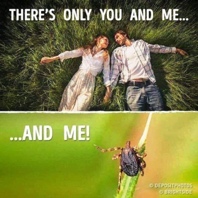 1717154003498.png