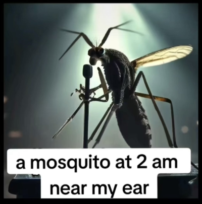 1717544566099.png