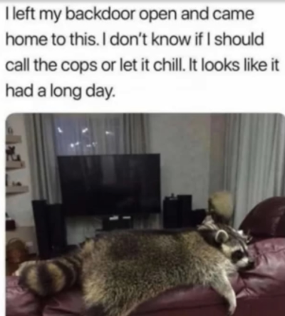 1717671086841.png