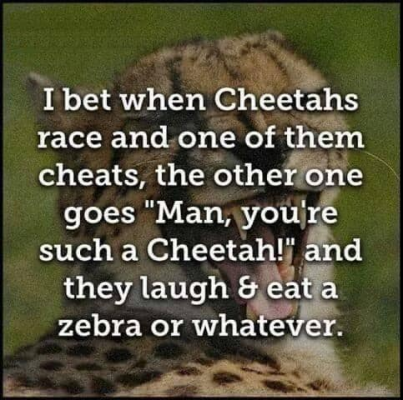 1717849952846.png