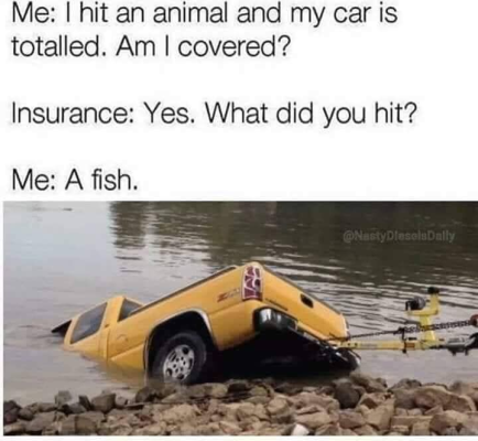 1718620508312.png