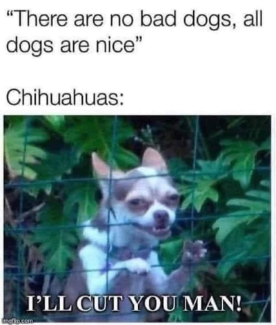 1720400086004.png