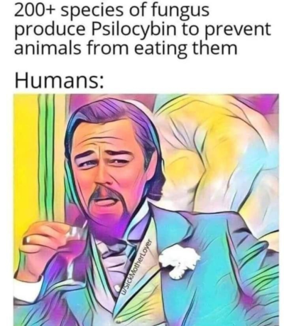 1720693768115.png