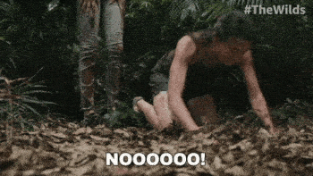 nooooo-ani.gif
