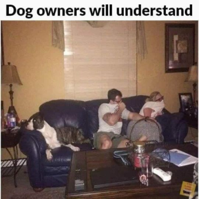 1721042870832.png