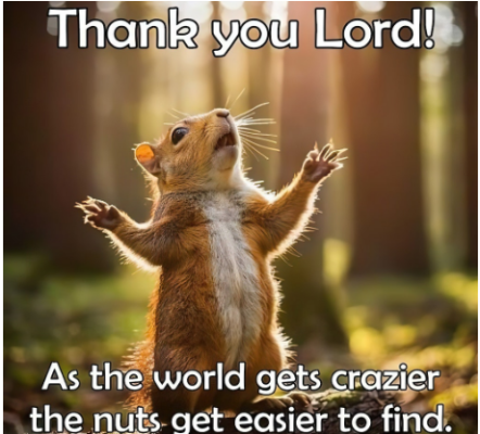 1721127704888.png