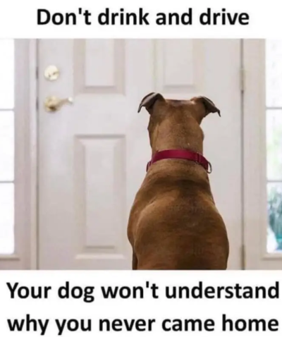 Screenshot_20240715-193756~2.png
