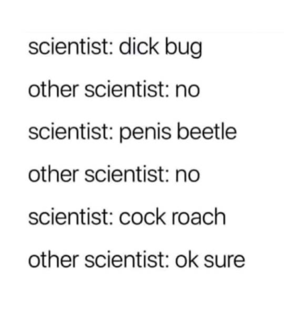 1721643115924.png