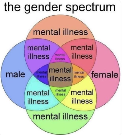 1721819315007.png