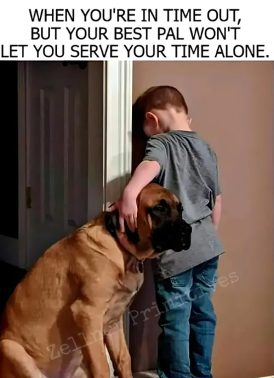 Screenshot_20240723-065856~2.png