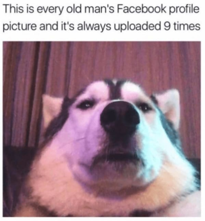 1722249008445.png
