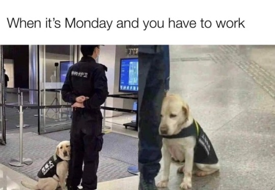 1722425695862.png