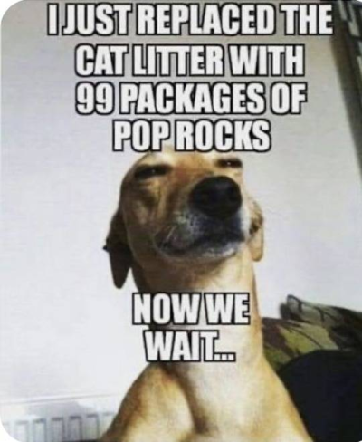 1722509238184.png