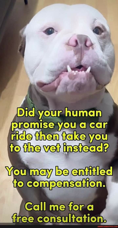 1722596339983.png