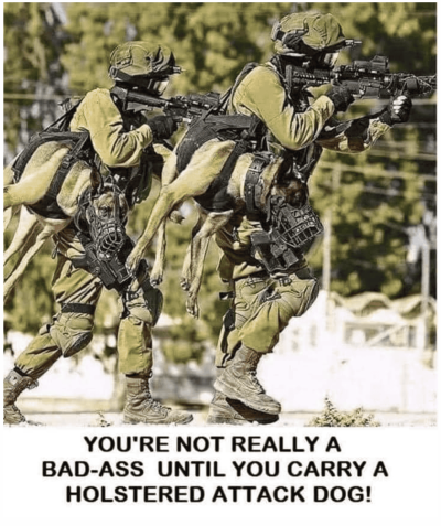 1723112736149.png
