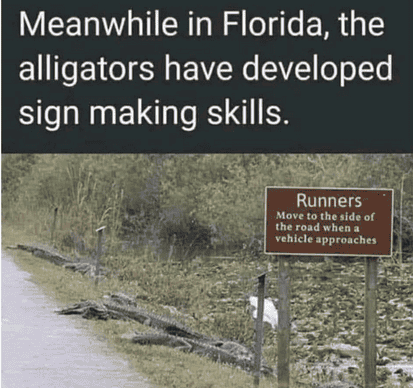 1723112837095.png