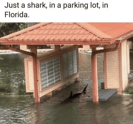 1723461037854.png