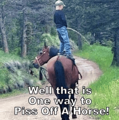 1723895211096.png