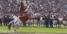 1724529206301.gif