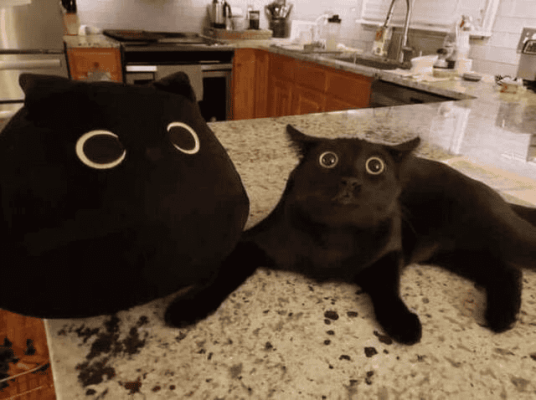 1724840083890.png