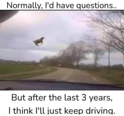Screenshot_20240828-192418~2.png
