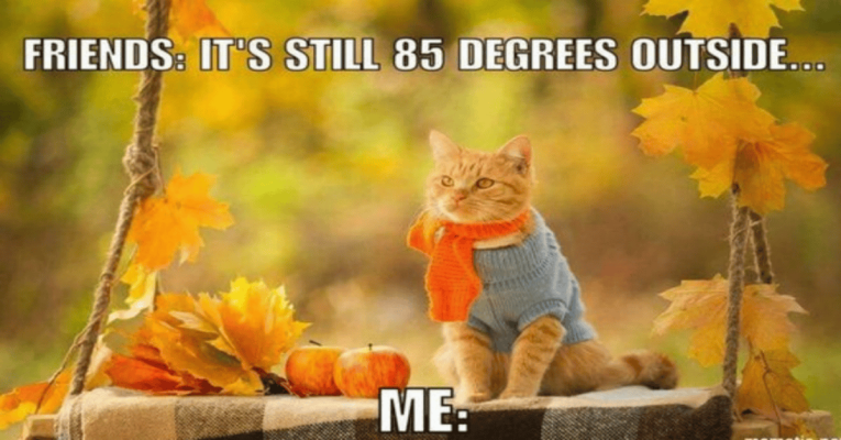 1725536868536.png