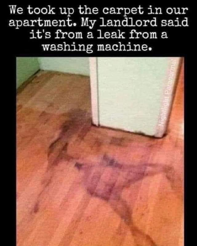 1726312741767.png