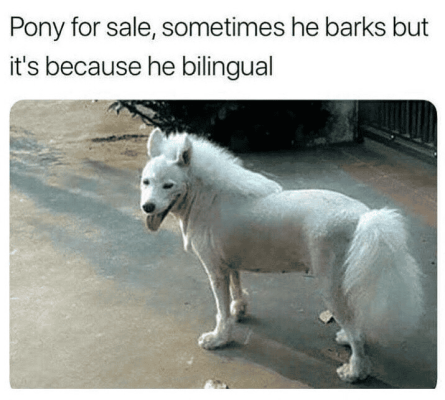 1726571354789.png