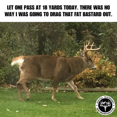 1726827545224.png