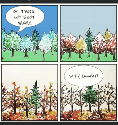 1726860694416.png