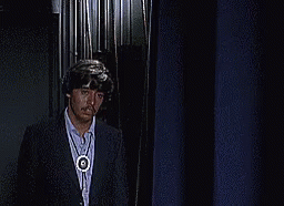 IMG_2635.gif