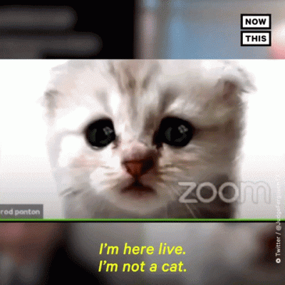 IMG_2772.gif