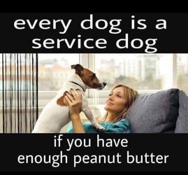 FB_IMG_1607458025957.jpg