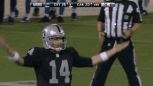Raiders.gif