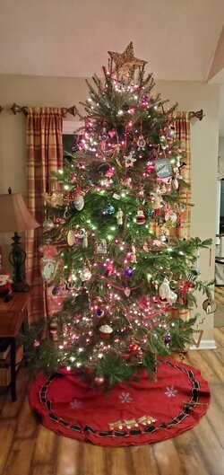 Resized_20201213_193316.jpeg
