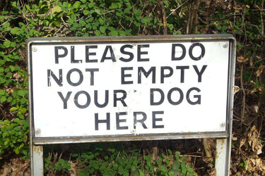 donotemptydoghere.jpg