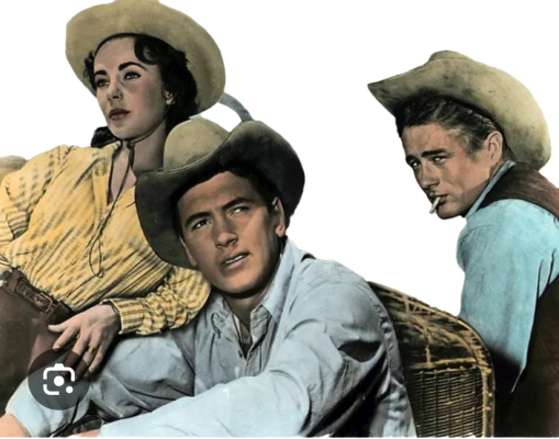 1735441983511.png