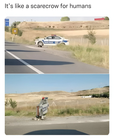 1736856402112.png