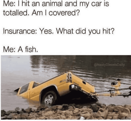 1736856837175.png