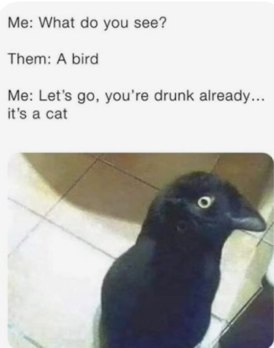 1736943538270.png