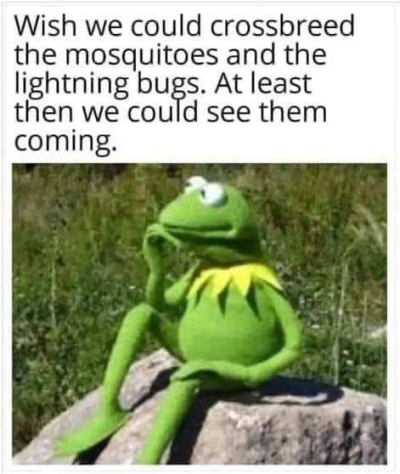1736944130470.png