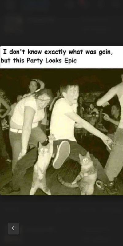 1737028868778.png