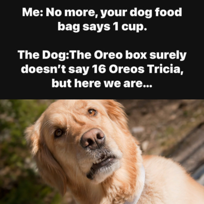 1737115290662.png