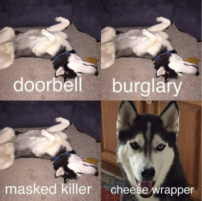 1737115319293.png